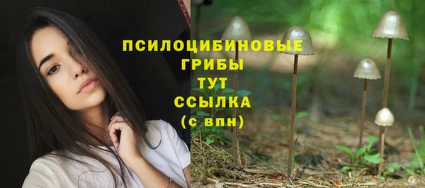 2c-b Саяногорск