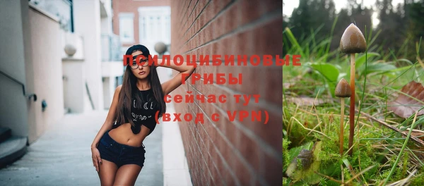 гашик Верхнеуральск