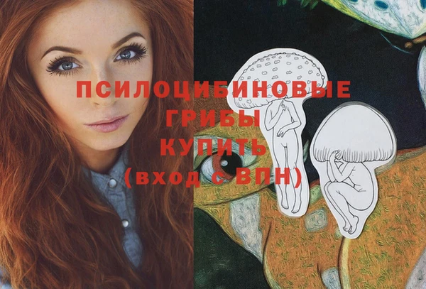 прущая мука Верхний Тагил