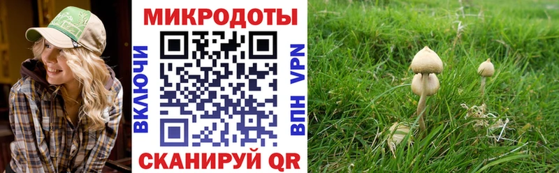 Псилоцибиновые грибы мухоморы  хочу наркоту  hydra   Галич 